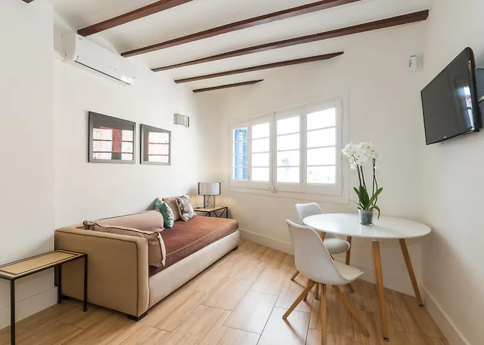Apartamentos Mayor By Habama Group